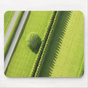 Mousepad Conversão no Hamptons