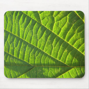 Mousepad Cooles grünes Blattmuster