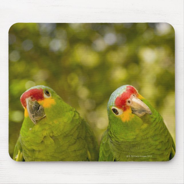 Mousepad Copan, Honduras (Frente)
