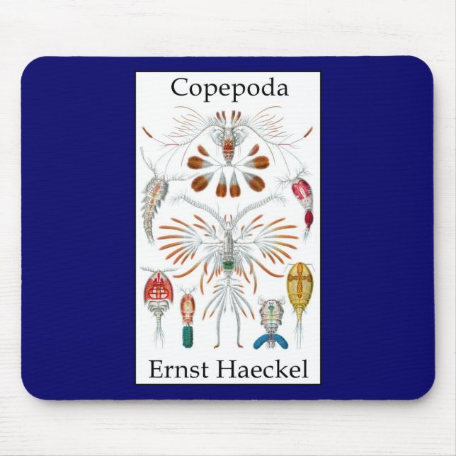 Mousepad Copepoda por Ernst Haeckel (Frente)