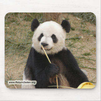 Mousepad cópia panda106