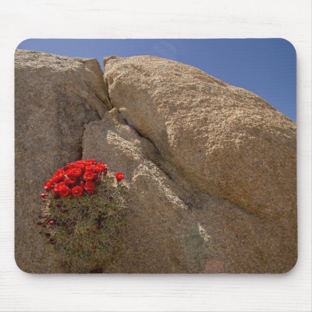 Mousepad copo de clarete ou cacto de moinho de Mojave em fl (Frente)