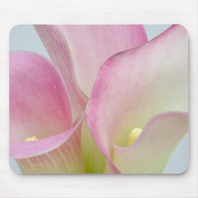 Mousepad Copos-de-leite Rosa (Frente)