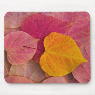 Mousepad Cor de outono no Forest Pansy Redbud caído