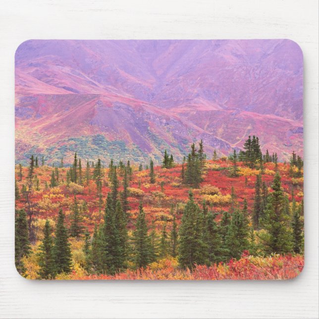 Mousepad Cor de outono no Parque Nacional Denali (Frente)