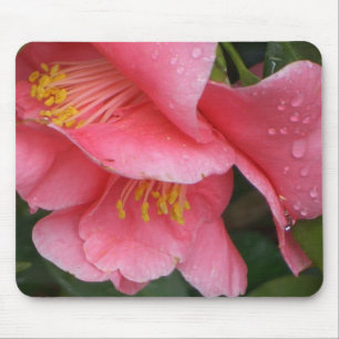 Mousepad cor-de-rosa da flor de Camelia do MACHADO