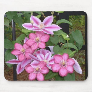 Mousepad cor-de-rosa da flor do clematis AA