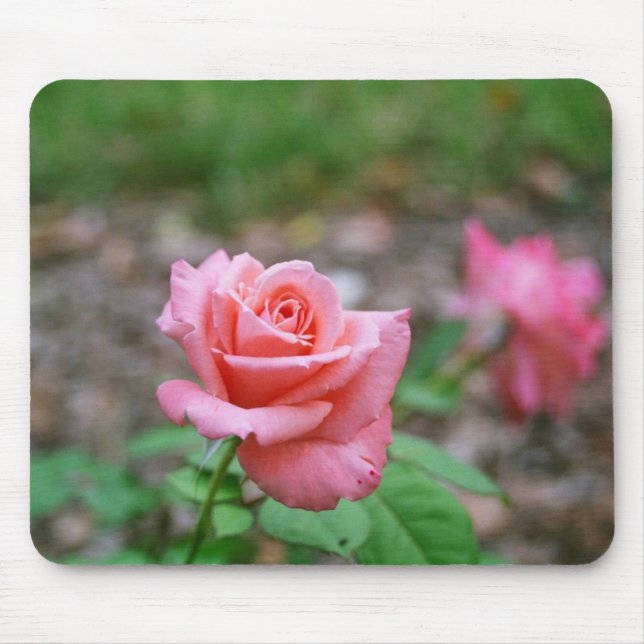 Mousepad cor-de-rosa de Sonia (Frente)