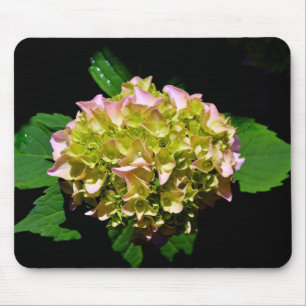Mousepad Cor-de-rosa verde Hidrangea flor rosa amarela