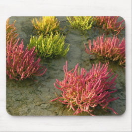 Mousepad Cor do lago de sal do excelente