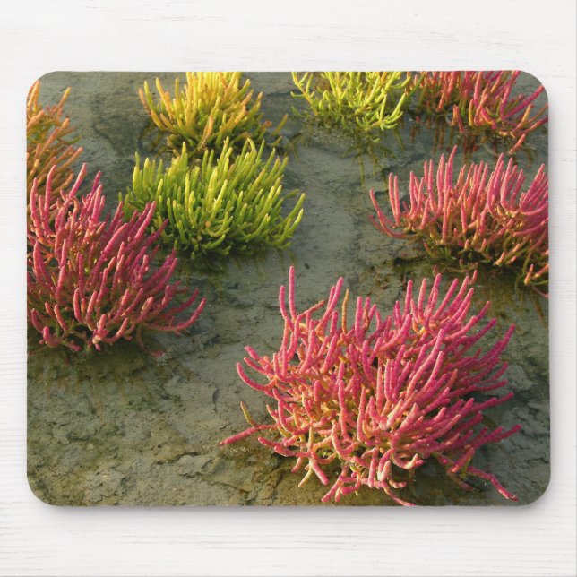 Mousepad Cor do lago de sal do excelente (Frente)