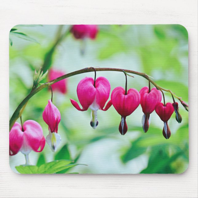 Mousepad Coração Bonito Elegente  de Flor Rosa (Frente)