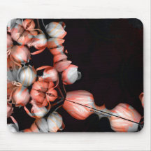 "Coração branco em preto do sol"