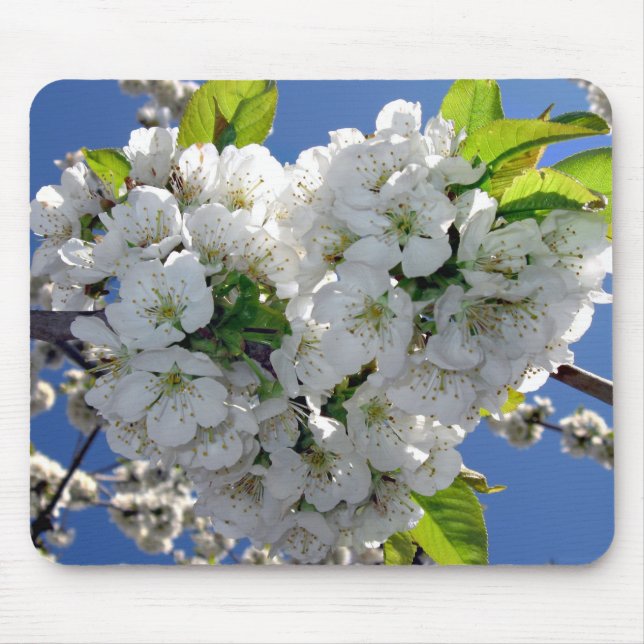 Mousepad Coração florescente de cereja (Frente)