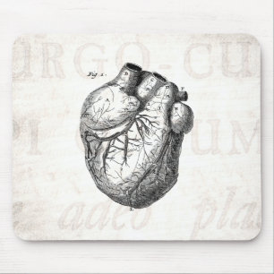 Mousepad Corações cardíacos retros da anatomia do coraç