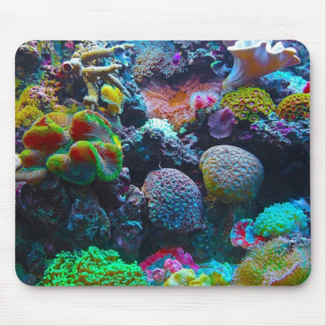 Mousepad Coral (Frente)
