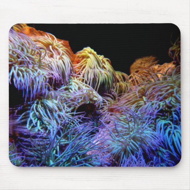 Mousepad Coral Azul (Frente)