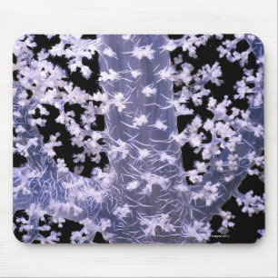 Mousepad Coral de Alcyonarian (sp de Dendronephthya.)