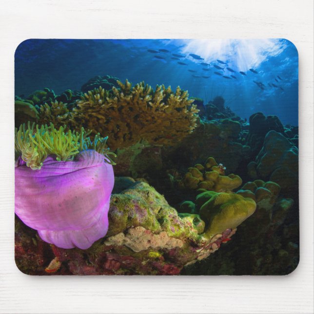 Mousepad Coral do Mar Tropical (Frente)