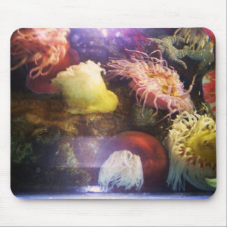 Mousepad coral macio bonito e colorido