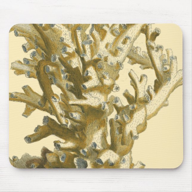 Mousepad Coral pelo mar (Frente)