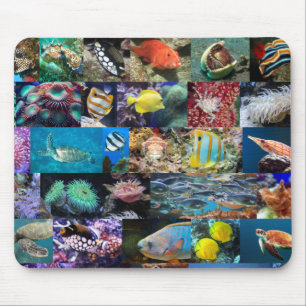 Mousepad Coral Recife Vida Marinha Animais da Natureza Aman
