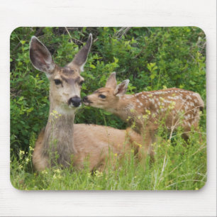 Mousepad Corça de cervo-mula com filhote