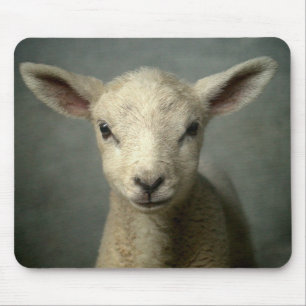 Mousepad Cordeiro recém-nascido