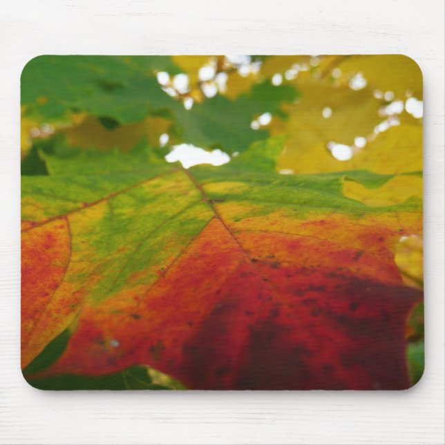 Mousepad Cores da Folha de Bordo Fotografia da Natureza de  (Frente)