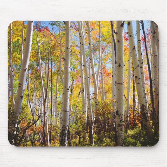 Mousepad Cores de outono das árvores Aspen 5 (Frente)