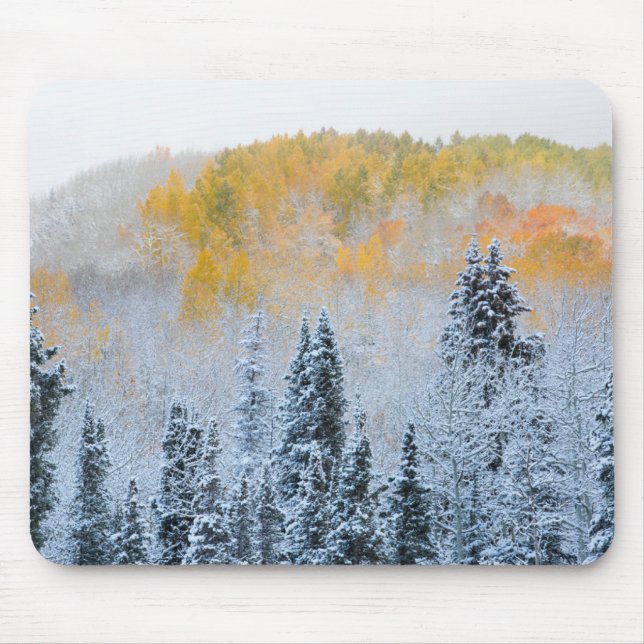 Mousepad Cores de Outono de Aspens & Neve Fresca Keebler Pa (Frente)