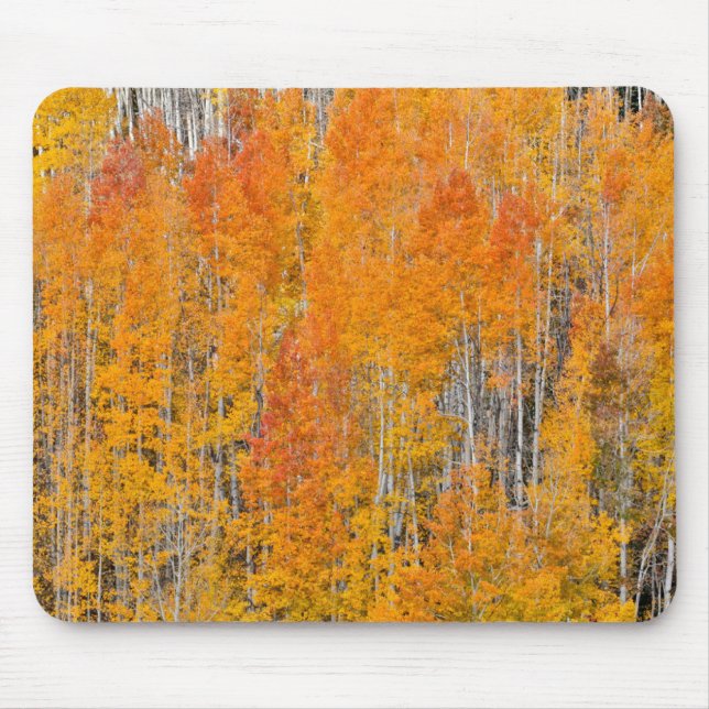 Mousepad Cores de outono em Aspen Groves (Frente)