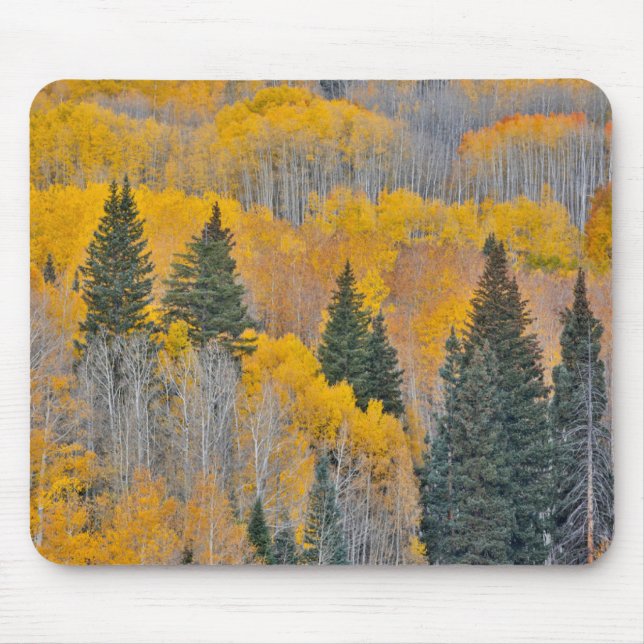 Mousepad Cores de outono em Aspen Groves (Frente)