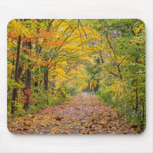 Mousepad Cores de Outono no Parque Estadual Independence (Frente)