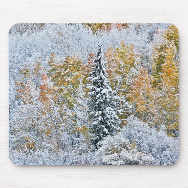 Mousepad Cores de queda de Aspens & Snow Keebler Pass (Frente)