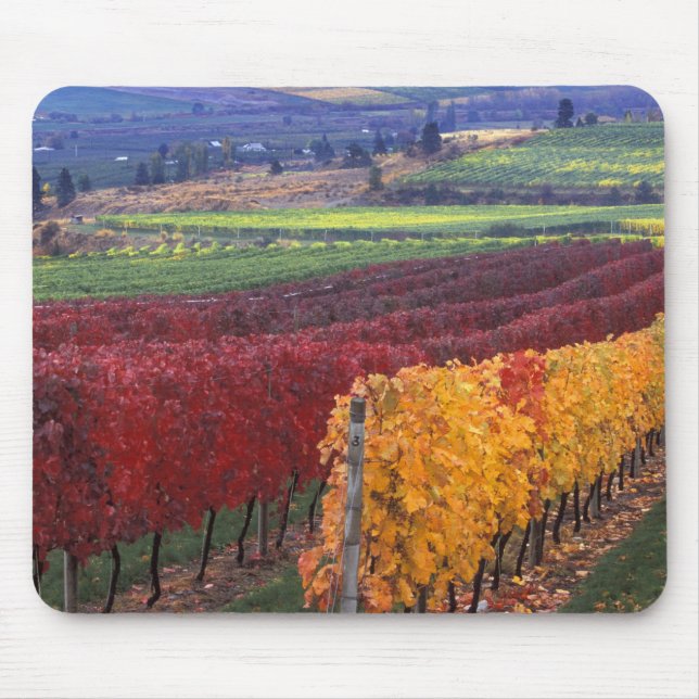 Mousepad Cores intensas de vermelho e amarelo no outono em  (Frente)