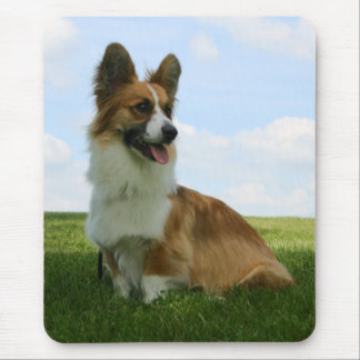 Mousepad Corgi macio de Galês do casaco de lã