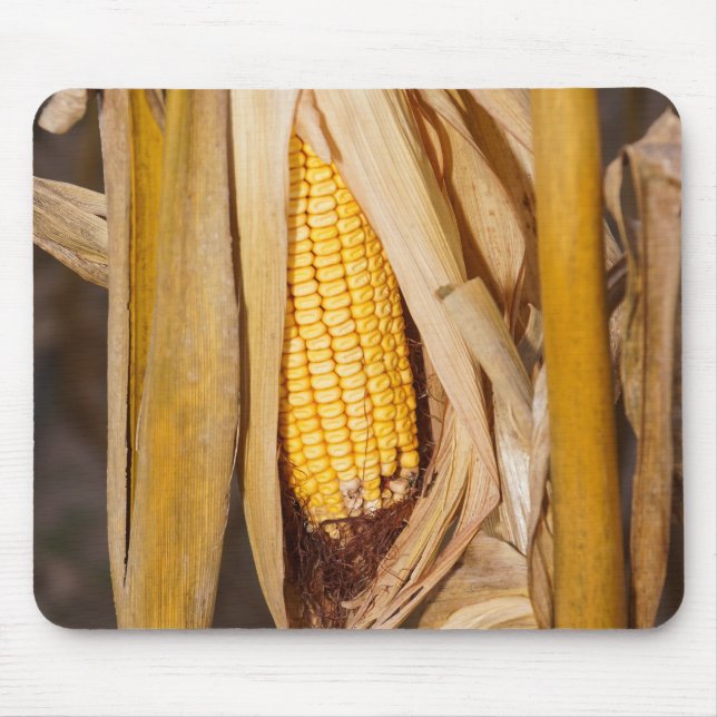 Mousepad Corn Cobb On Stalk (Frente)