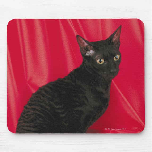 Mousepad Cornish rex cat (Frente)