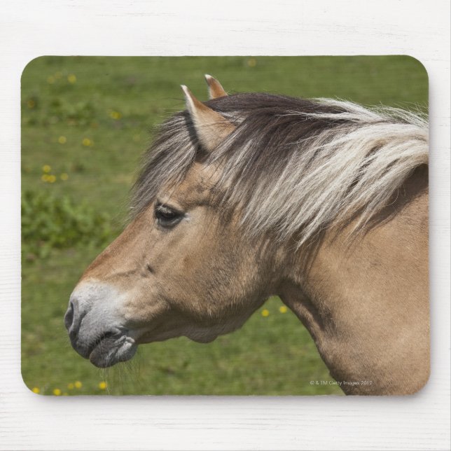 Mousepad Coro de fiorde norueguês (Frente)