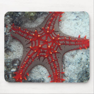 Mousepad Coroa da estrela do mar dos espinhos no recife de