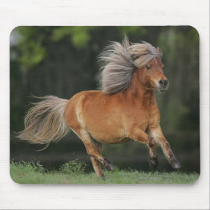 Mousepad Corredor diminuto do cavalo