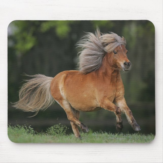 Mousepad Corredor diminuto do cavalo (Frente)