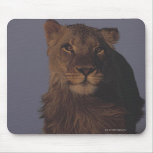 Mousepad Corredor do leão