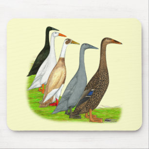 Mousepad Corredor Duck Assortation