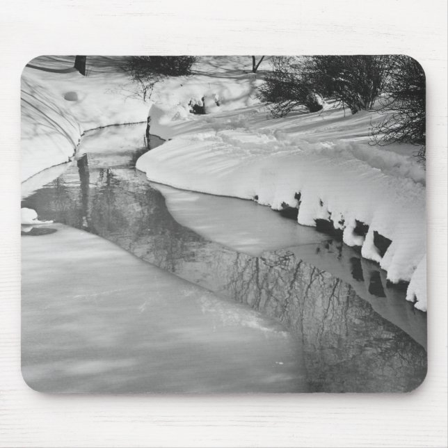 Mousepad Córrego no inverno B&W (Frente)