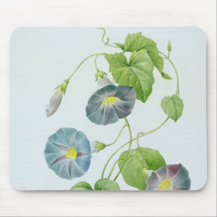 Mousepad Corriola