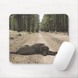 Mousepad Cortar O Coletor De Chocolate Em Um Caminho Da Flo
