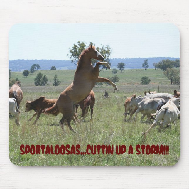 MOUSEPAD CORTE DE SPORTALOOSA (Frente)