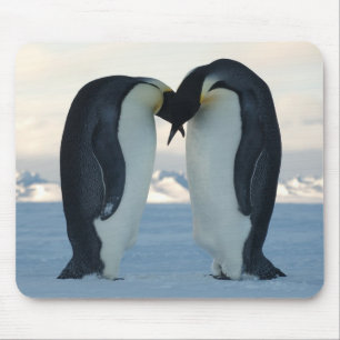 Mousepad Corte do pinguim de imperador